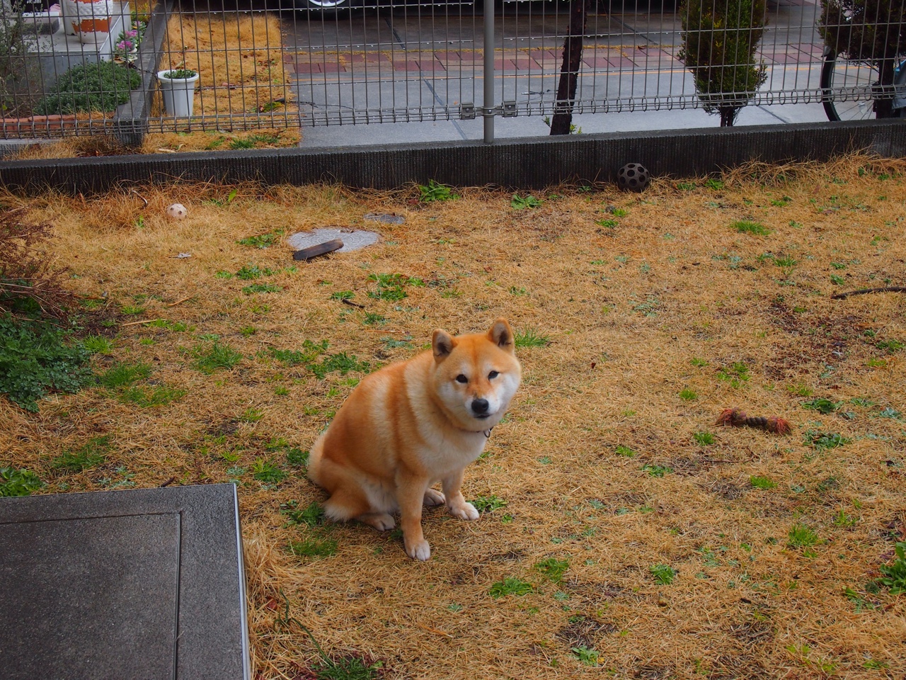 魔术粉碎掘金,欧文发挥堪称完美