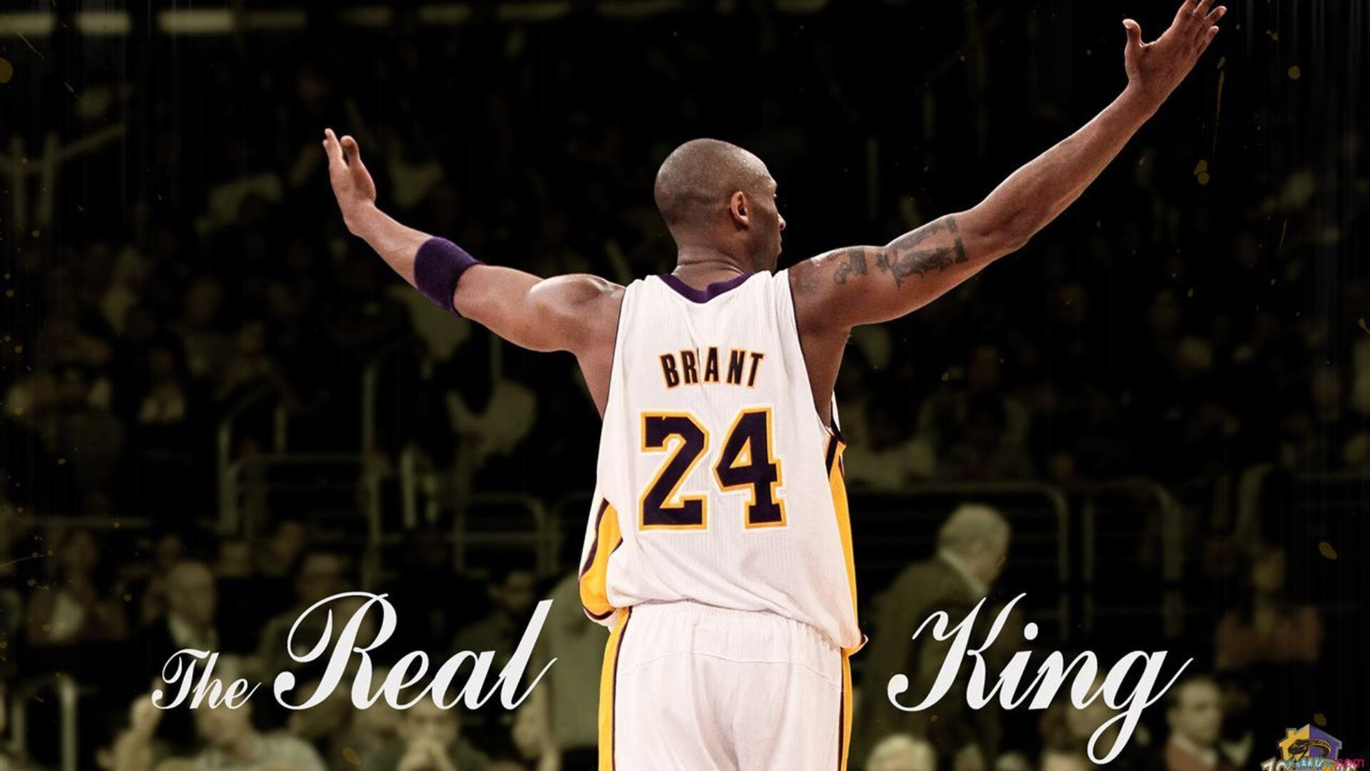 IM体育在线注册-丹麦风暴席卷羽坛，安赛龙领衔横扫印尼，王者之师惊艳世界